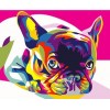 REF314 - PEINTURE PAR NUMEROS - KIT DIY - BOULEDOGUE FRANCAIS POP ART